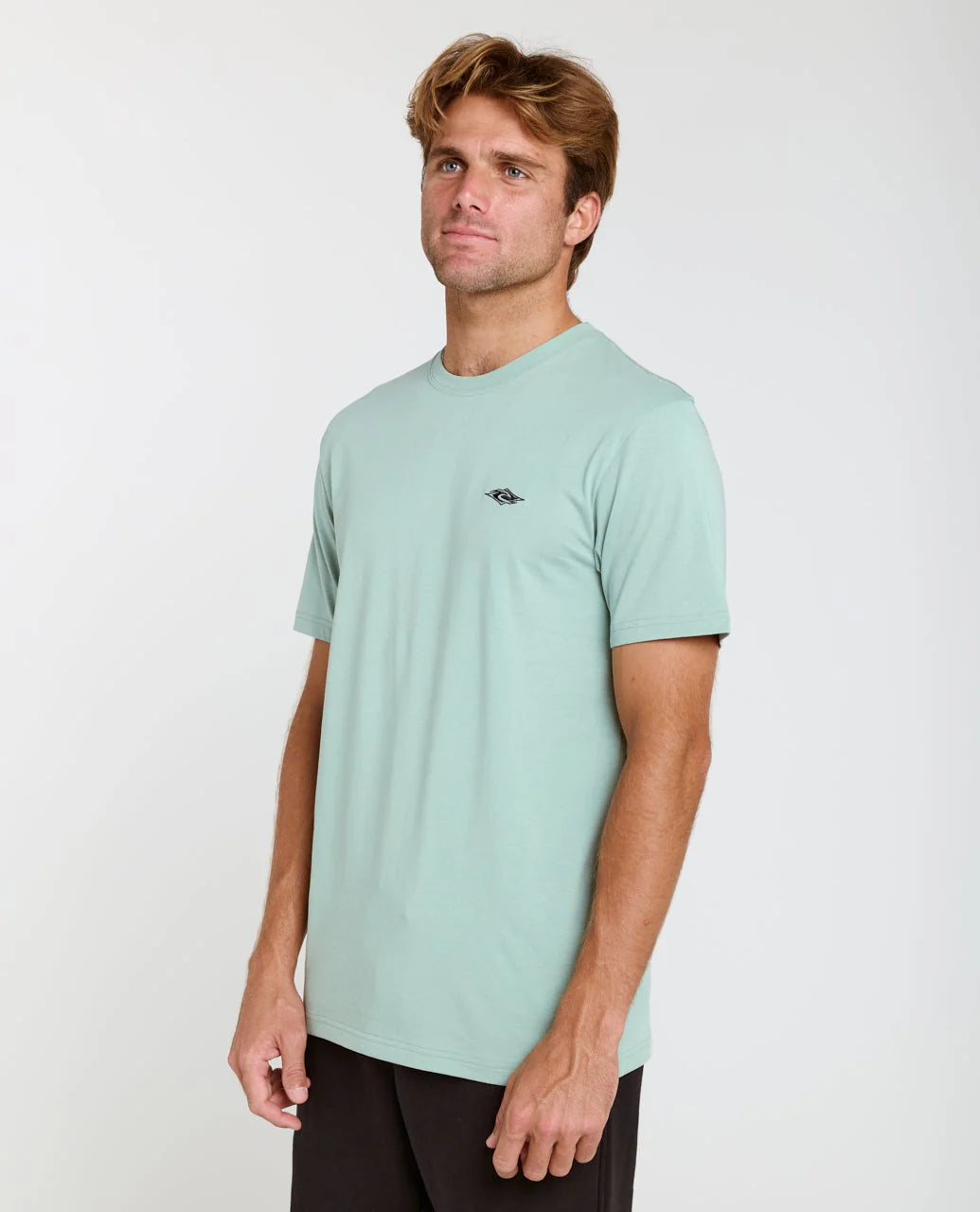 T-Shirt Rip Curl Streamline Embroid Standard Tee