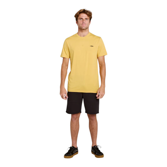 T-Shirt Rip Curl Streamline Embroid Standard Tee